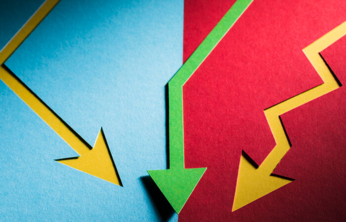 estado contra mercado